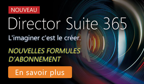 Director Suite 365